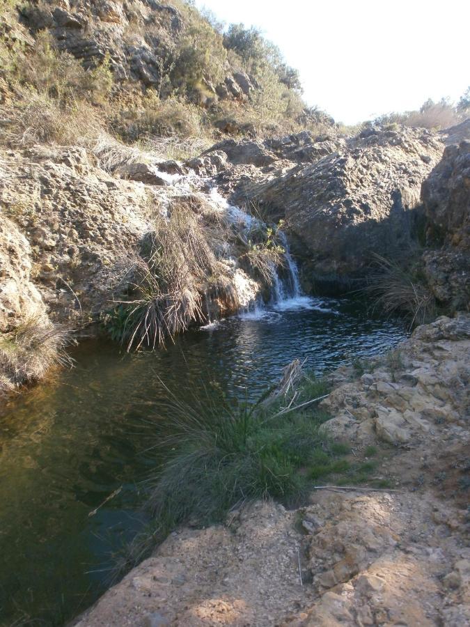 Albergue Coto Real De La Marina Cehegín 外观 照片